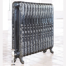 Load image into Gallery viewer, Arroll Daisy Cast Iron Radiator, Painted Finish - H600mm Black & Silver Highlighted