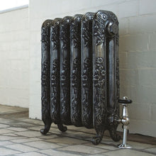 Load image into Gallery viewer, Arroll Daisy Cast Iron Radiator, Painted Finish - H600mm