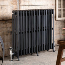 Load image into Gallery viewer, Arroll Edwardian 4 Column Aluminium Radiator, Painted Finish - H750mm NE750-4C