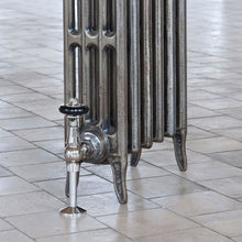 Load image into Gallery viewer, Arroll Neo Classic 4 Column Cast Iron Radiator, Painted Finish - H460mm