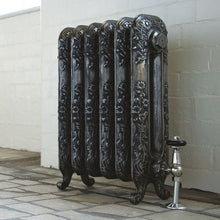 Load image into Gallery viewer, Arroll Daisy Cast Iron Radiator, Painted Finish - H600mm Black &amp; Silver Highlighted
